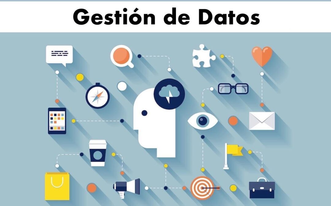 Domina el Arte de la Gestión de Datos: Guía Completa